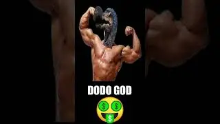 DODO GOD 🤑