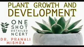 PLANT GROWTH AND DEVELOPMENT|  Detailed NCERT One Shot  | Dr. Pranali Mishra | #NEET #Biology #CBSE