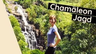Chamäleon Jagd in Lushoto (Tansania) ● Weltreise Vlog #113