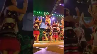 Immersive Dive into the Hornbill Festival: Cultural Marvels Unveiled | Nagaland