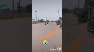 DOMMATA