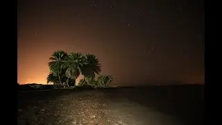 Dahab 2020. Happy Life village.Home reef. Night snorkeling