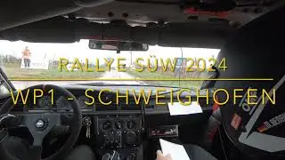 Rallye Südliche Weinstraße Historic 2024 - WP1 Mercedes Benz 190E