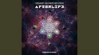 Life After Live (Original Mix)