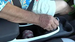 Green Garden Green Energy Show, Chevy Bolt