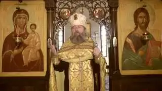 Исцеление слуги сотника. 28.06.15