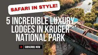 5 INCREDIBLE Luxury Lodges in Kruger National Park