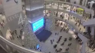 The Twizzard at Mall of America
