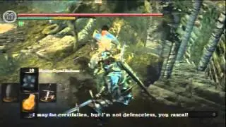 Dark Sous[PS3] Ornstein armor view(friend asked for)