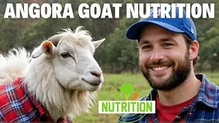 Angora Goat EXPERT Shares Nutrition Secrets