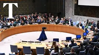 LIVE: UN votes on resolution that calls for humanitarian pause in Gaza