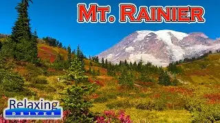 Mount Rainier - Paradise, WA | Relaxing Drives