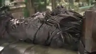 How Its Made Inner Tubes