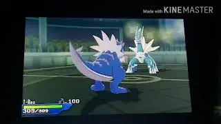 Pokemon USUM WiFi Battle Salty Ponyta horn Drill Luck