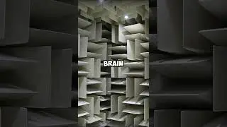 This Room Is So Quiet&hellip; It Can Drive You Insane