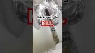 DON&rsquo;T RUIN Your Acrylic Brush! ❌ Here is How