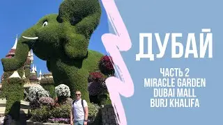Dubai MIRACLE GARDEN. Dubai Mall и Burj Khalifa. 14 февраля 2020