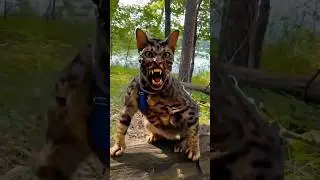 Zombie cat surprise Manan 🐈👶🏻😱😹😂#trending #shorts #cute #cat #zombie #horror