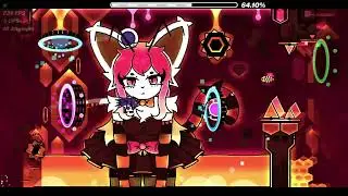 Beecat 100%