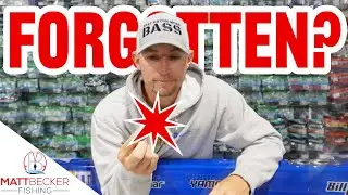 Have YOU forgotten this BAIT?