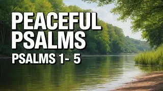 Psalms 1-5 (NLT) &ndash; Peaceful Bible Reading for Sleep, Stress Relief + Rest