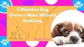 5 Mistakes Dog Owners Make Without Realizing,How to safe our dogs.