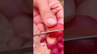 ❤️Red Seedless Grapes❣️ #viral #wow #satisfying #fruit #yummy #red #grape #shorts #fyp #delicious