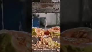 dragon fruit 150 ton hydraulic pres#satsfying #asmr #viral #hydraulicpresss