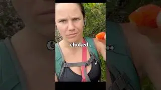 Click the linked video 😉#queervibes #hikingspain #solohiking #barcelonavlog #lgbtqoutdoors #wlw