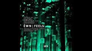 &Eacute;WN - Feels
