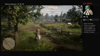 Прямой показ PS4 от PixelSPB