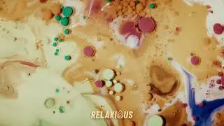 10 Hours of Relaxing Ambient Music for Study & Concentrate | Music Therapy | Relaxious