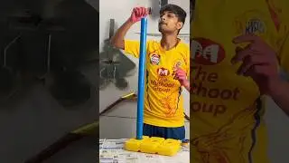 Cricket Stumps painting like IPL