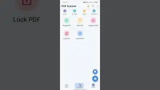 PDF File