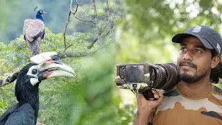 (দ্বিতীয় পর্ব )পাহাড়ে ছবিতোলার দুর্দান্ত অভিজ্ঞতা |Wildlife Photography vlog 31 |Mahananda Wildlife|