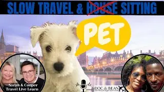 Ultimate Pet-Friendly Travel: House Sitting & Slow Travel with Your Dog | Expat Nomad Life