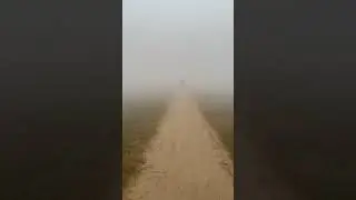 Morning running in fog🏃 #morning  #running #fitness #sultanmakhandia #shorts #viral #trending #yt