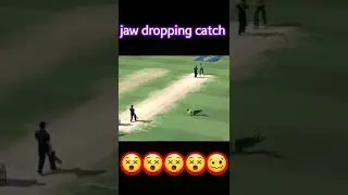 jaw dropping catch #cricket #viral #trending #shorts
