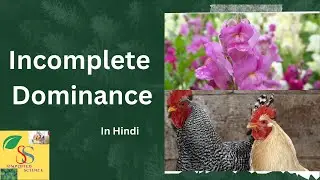 Incomplete Dominance || In Hindi.(easy explanation)