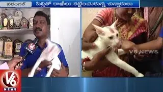 Family Celebrates Rakhi Festival With A Cat In Warangal || V6 News