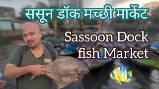 ससून डॉक होलसेल मच्छी मार्केट |  Sassoon Dock Wholesale fish Market | Fresh Fish | Vlog no.45