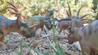 Life Of The Spinops 3: Styracosaurus Siblings