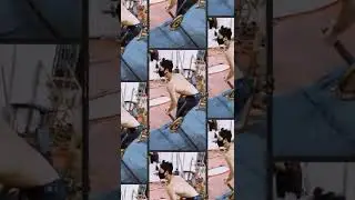 #bodybuilding #viral #livestream #bodytransformation #video #fitnessmotivation #fitness