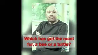 Best of Karl Pilkington - xfm Gervais, Merchant - S01E18 a bee or a turtle?