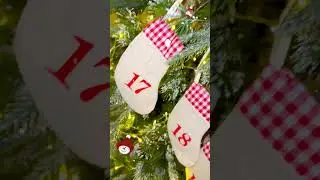 Animal Advent Stocking Dec 17 | Learn Animal Names for Kids #HolidaysWithYouTube