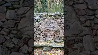 Hayedo de Montejo. Sierra del Rinc&oacute;n (MADRID) 🍂🍁