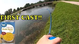 Catching Catfish With The Cheapest Bait (FIRST CAST)