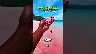 Social Media SCAMMED You 💀