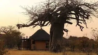MATOME PRODUCTION - OMOGELA MABBZA
