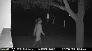 Sun City prowler possibly linked to dozens of cases